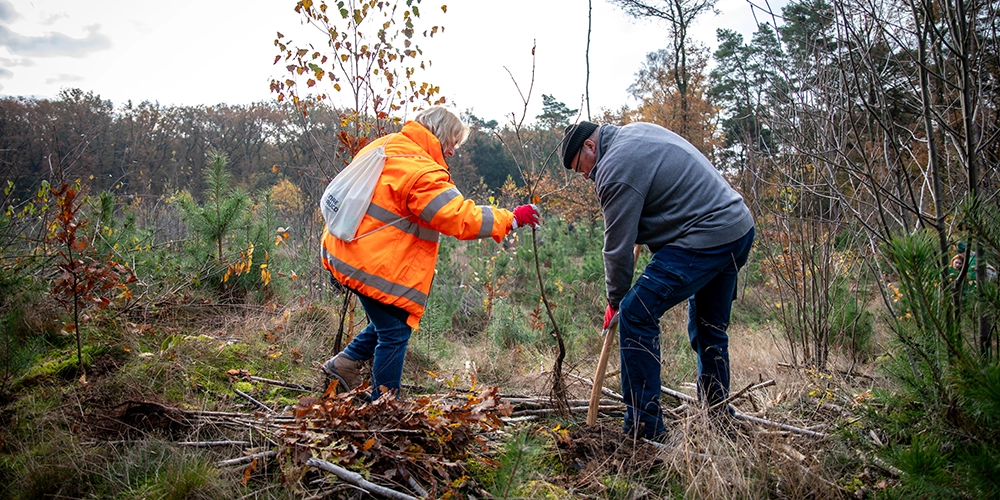 Sonae Arauco employees plant 1,000 trees in Meppen